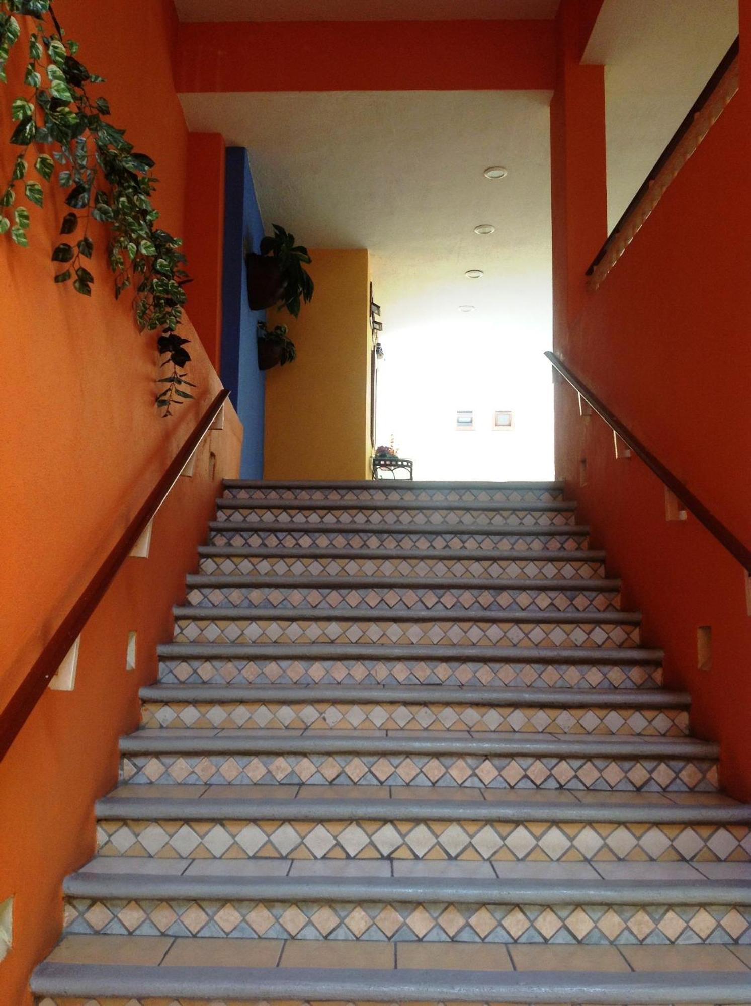 Plaza Jardin Hotell Tequila Eksteriør bilde